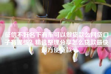 征信不好名下有车可以做贷款么网贷口子有哪些？精选整理分享怎么贷款最快最方便贷款