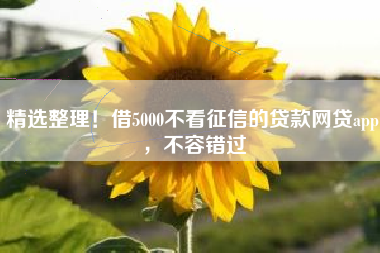 精选整理！借5000不看征信的贷款网贷app，不容错过