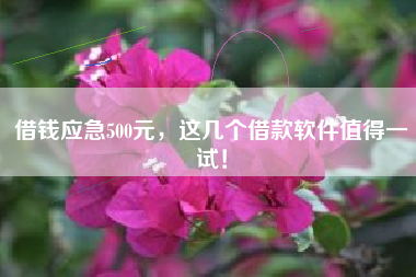 借钱应急500元，这几个借款软件值得一试！