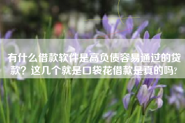 有什么借款软件是高负债容易通过的贷款？这几个就是口袋花借款是真的吗?