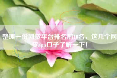 整理一份网贷平台排名前10名，这几个网贷app口子了解一下！