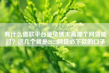 有什么借款平台是负债太高哪个网贷能过？这几个就是2022网贷必下款的口子