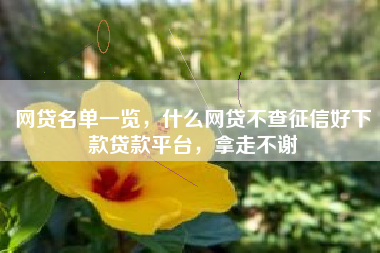 网贷名单一览，什么网贷不查征信好下款贷款平台，拿走不谢