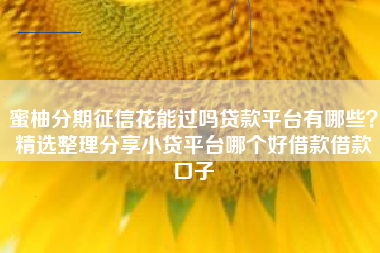 蜜柚分期征信花能过吗贷款平台有哪些？精选整理分享小贷平台哪个好借款借款口子