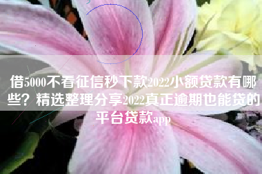 借5000不看征信秒下款2022小额贷款有哪些？精选整理分享2022真正逾期也能贷的平台贷款app