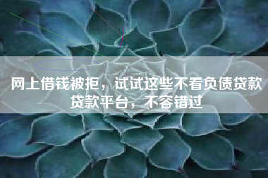 网上借钱被拒，试试这些不看负债贷款贷款平台，不容错过
