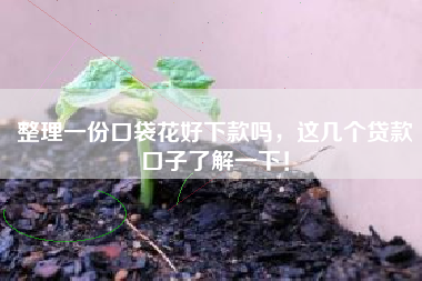 整理一份口袋花好下款吗，这几个贷款口子了解一下！