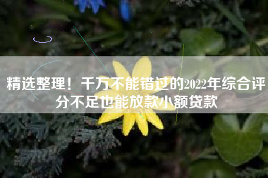 精选整理！千万不能错过的2022年综合评分不足也能放款小额贷款
