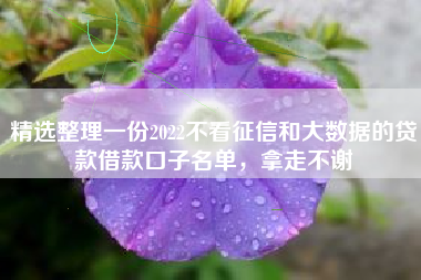 精选整理一份2022不看征信和大数据的贷款借款口子名单，拿走不谢