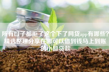 所有口子都拒了这个下了网贷app有哪些？精选整理分享在哪可以借到钱马上到账的小额贷款