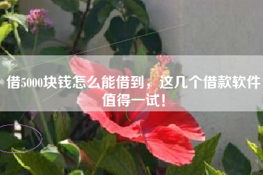 借5000块钱怎么能借到，这几个借款软件值得一试！