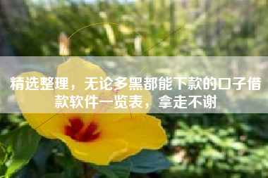 精选整理，无论多黑都能下款的口子借款软件一览表，拿走不谢