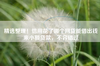 精选整理！信用花了哪个网贷能借出钱来小额贷款，不容错过