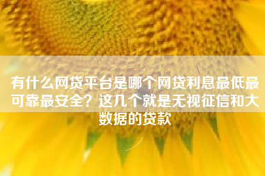 有什么网贷平台是哪个网贷利息最低最可靠最安全？这几个就是无视征信和大数据的贷款