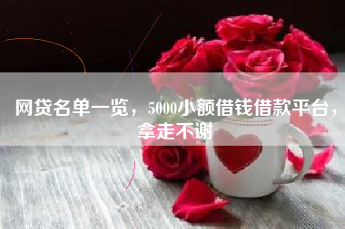 网贷名单一览，5000小额借钱借款平台，拿走不谢