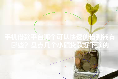 手机借款平台哪个可以快速的借到钱有哪些？盘点几个小额贷款好下款的