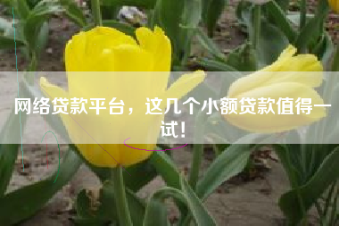 网络贷款平台，这几个小额贷款值得一试！