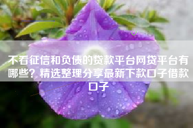 不看征信和负债的贷款平台网贷平台有哪些？精选整理分享最新下款口子借款口子