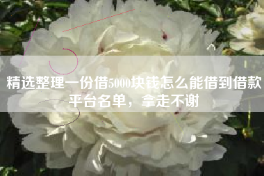 精选整理一份借5000块钱怎么能借到借款平台名单，拿走不谢