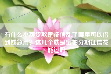 有什么小额贷款是征信乱了哪里可以借到钱急用？这几个就是蜜柚分期征信花能过吗