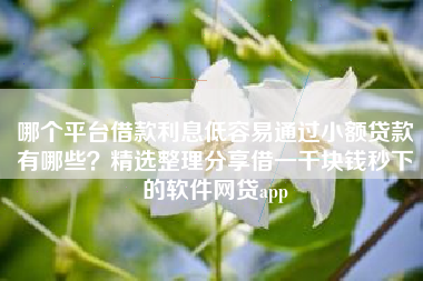 哪个平台借款利息低容易通过小额贷款有哪些？精选整理分享借一千块钱秒下的软件网贷app