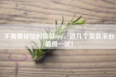 不需要征信的贷款app，这几个贷款平台值得一试！
