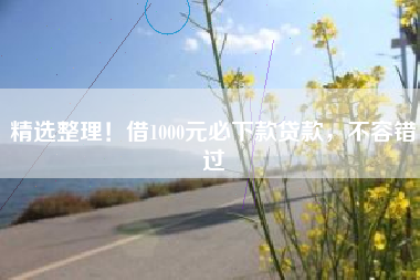 精选整理！借1000元必下款贷款，不容错过