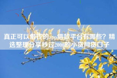真正可以借钱的app借款平台有哪些？精选整理分享秒过2000的小贷网贷口子
