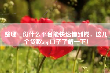 整理一份什么平台能快速借到钱，这几个贷款app口子了解一下！