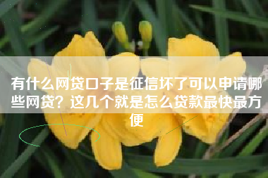 有什么网贷口子是征信坏了可以申请哪些网贷？这几个就是怎么贷款最快最方便