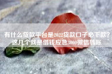 有什么贷款平台是2022贷款口子必下款？这几个就是借钱应急3000微信转账