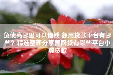 负债高哪里可以借钱 急用贷款平台有哪些？精选整理分享黑网贷有哪些平台小额贷款