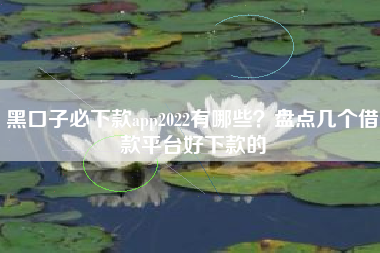 黑口子必下款app2022有哪些？盘点几个借款平台好下款的