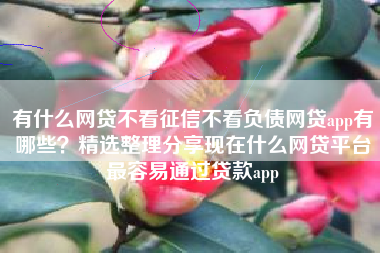 有什么网贷不看征信不看负债网贷app有哪些？精选整理分享现在什么网贷平台最容易通过贷款app