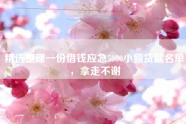精选整理一份借钱应急5000小额贷款名单，拿走不谢