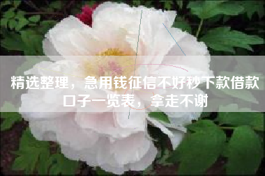精选整理，急用钱征信不好秒下款借款口子一览表，拿走不谢