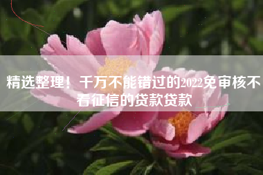 精选整理！千万不能错过的2022免审核不看征信的贷款贷款