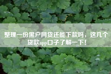 整理一份黑户网贷还能下款吗，这几个贷款app口子了解一下！