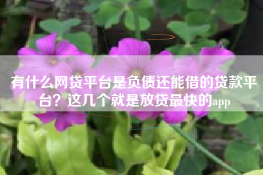 有什么网贷平台是负债还能借的贷款平台？这几个就是放贷最快的app