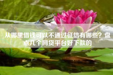 从哪里借钱可以不通过征信有哪些？盘点几个网贷平台好下款的