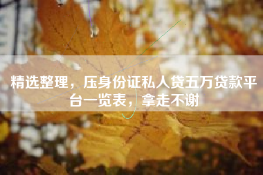 精选整理，压身份证私人贷五万贷款平台一览表，拿走不谢