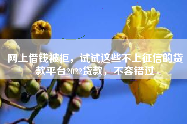 网上借钱被拒，试试这些不上征信的贷款平台2022贷款，不容错过
