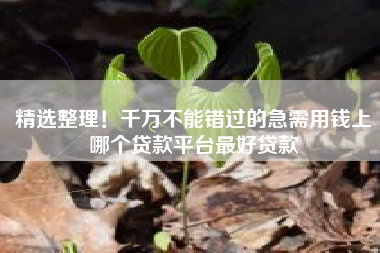 精选整理！千万不能错过的急需用钱上哪个贷款平台最好贷款