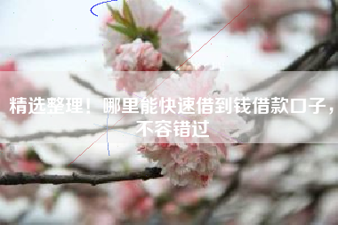 精选整理！哪里能快速借到钱借款口子，不容错过
