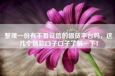整理一份有不看征信的借贷平台吗，这几个借款口子口子了解一下！