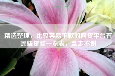 精选整理，比较容易下款的网贷平台有哪些贷款一览表，拿走不谢