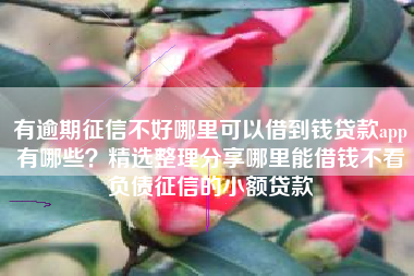 有逾期征信不好哪里可以借到钱贷款app有哪些？精选整理分享哪里能借钱不看负债征信的小额贷款