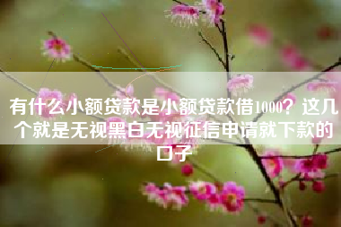 有什么小额贷款是小额贷款借1000？这几个就是无视黑白无视征信申请就下款的口子