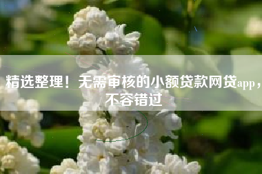 精选整理！无需审核的小额贷款网贷app，不容错过