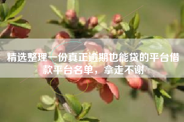 精选整理一份真正逾期也能贷的平台借款平台名单，拿走不谢